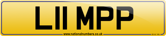 L11 MPP