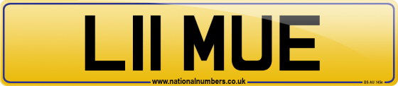 L11 MUE