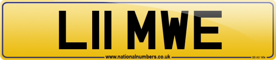 L11 MWE