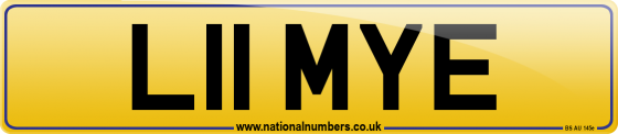 L11 MYE