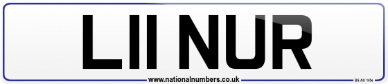 L11 NUR