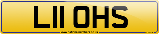 L11 OHS