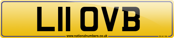 L11 OVB