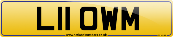 L11 OWM