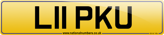 L11 PKU