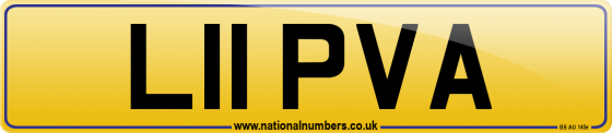 L11 PVA