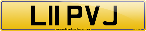 L11 PVJ