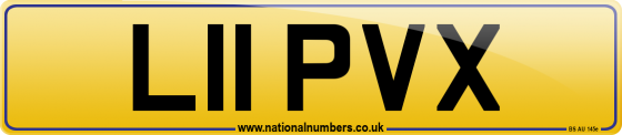 L11 PVX