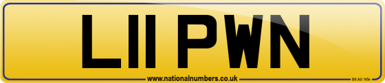 L11 PWN