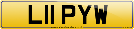L11 PYW