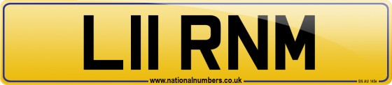 L11 RNM