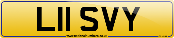 L11 SVY