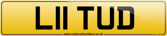 L11 TUD
