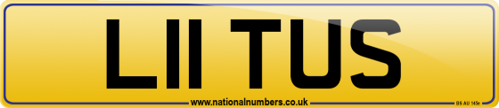 L11 TUS