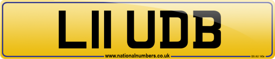 L11 UDB