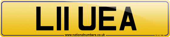 L11 UEA