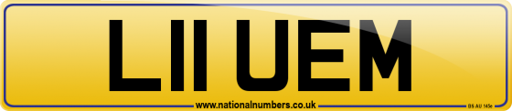 L11 UEM