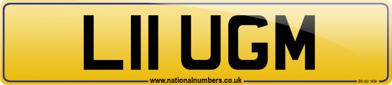 L11 UGM