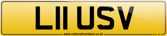L11 USV