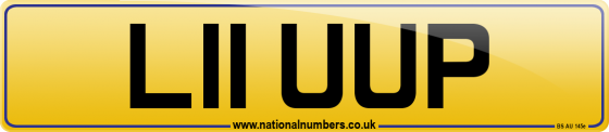 L11 UUP