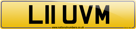 L11 UVM