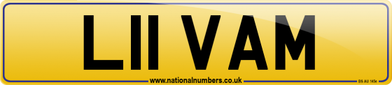 L11 VAM