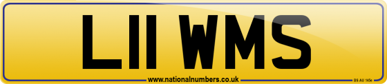 L11 WMS