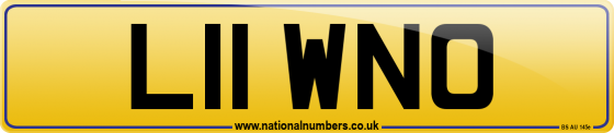 L11 WNO