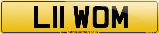L11 WOM