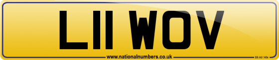 L11 WOV