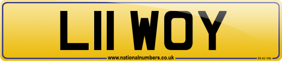 L11 WOY
