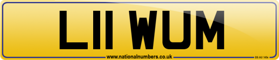 L11 WUM