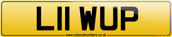 L11 WUP