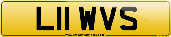L11 WVS