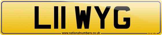 L11 WYG