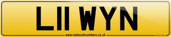 L11 WYN
