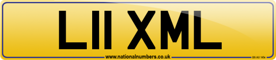 L11 XML