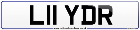 L11 YDR