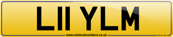 L11 YLM