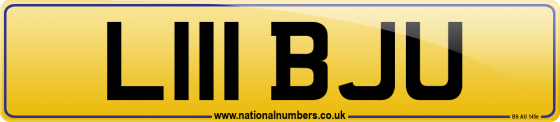 L111 BJU