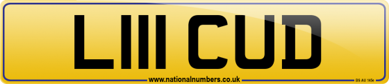 L111 CUD