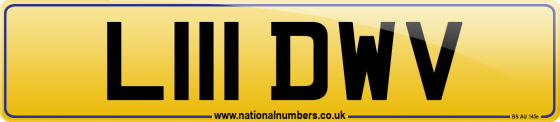 L111 DWV