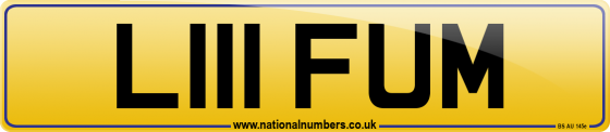 L111 FUM