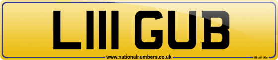 L111 GUB