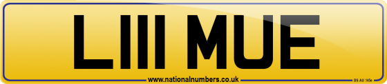 L111 MUE