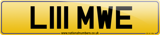 L111 MWE