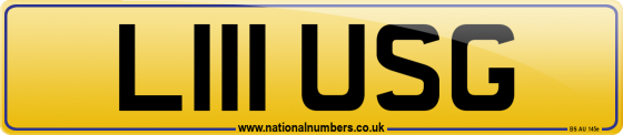 L111 USG