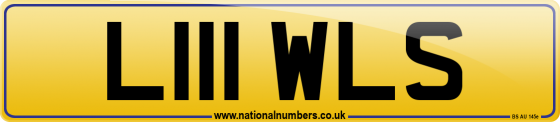 L111 WLS
