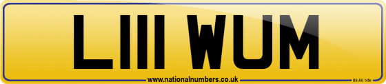 L111 WUM