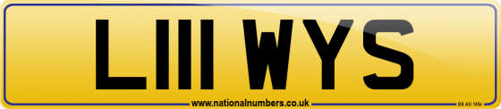 L111 WYS